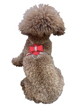 Load image into Gallery viewer, Rhinestone Bow Harness - Red
