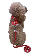 Load image into Gallery viewer, Rhinestone Bow Harness - Red