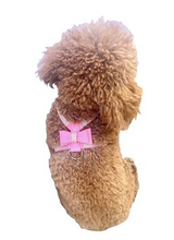 Load image into Gallery viewer, Rhinestone Bow Harness - Pink