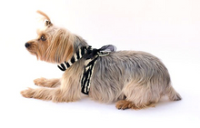 Load image into Gallery viewer, Parisian Corset Harness - Zebra