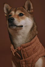 Load image into Gallery viewer, Easy Fit Jacket For Dogs - Camel