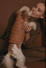 Load image into Gallery viewer, Easy Fit Jacket For Dogs - Camel