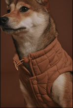Load image into Gallery viewer, Easy Fit Jacket For Dogs - Camel
