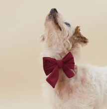 Load image into Gallery viewer, Burgundy Velvet Lady Dog Bow