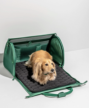 Load image into Gallery viewer, Wild One Travel Tsa Compliant Pet Dog Carrier - Spruce