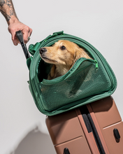 Load image into Gallery viewer, Wild One Travel Tsa Compliant Pet Dog Carrier - Spruce