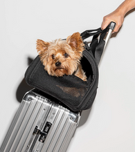 Load image into Gallery viewer, Wild One Travel Tsa Compliant Pet Dog Carrier - Black