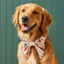 Load image into Gallery viewer, Holiday Cookies Lady Dog Bow