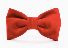 Load image into Gallery viewer, Cranberry Velvet Bow tie