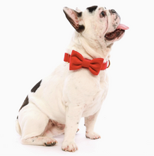 Load image into Gallery viewer, Cranberry Velvet Bow tie
