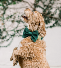 Load image into Gallery viewer, Forest Green Velvet Bow Tie