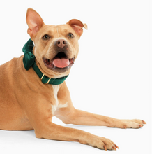 Load image into Gallery viewer, Forest Green Velvet Bow Tie