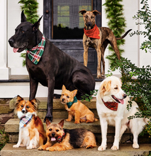 Load image into Gallery viewer, Forest Green Velvet Bow Tie