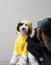 Load image into Gallery viewer, Talon Raincoat - Yellow