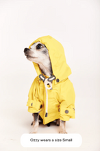 Load image into Gallery viewer, Talon Raincoat - Yellow