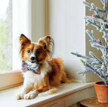 Load image into Gallery viewer, Regent Plaid Flannel Bow Tie