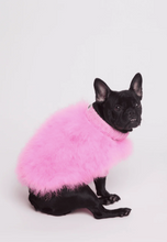 Load image into Gallery viewer, Christian Cowan X Maxbone Jumper Hot Pink