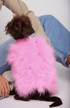 Load image into Gallery viewer, Christian Cowan X Maxbone Jumper Hot Pink