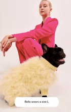 Load image into Gallery viewer, Christian Cowan X Maxbone Jumper Yellow