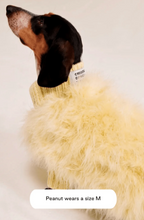 Load image into Gallery viewer, Christian Cowan X Maxbone Jumper Yellow