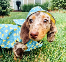 Load image into Gallery viewer, Rubber Duck London Raincoat