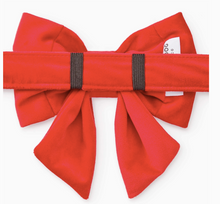 Load image into Gallery viewer, Cranberry Velvet Lady Dog Bow