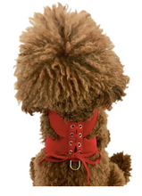 Load image into Gallery viewer, Parisian Corset Harness - Red