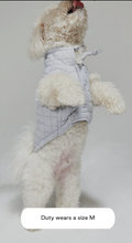 Load image into Gallery viewer, Easy Fit Jacket For Dogs - Light Blue