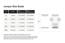 Load image into Gallery viewer, Christian Cowan Periwinkle Holiday Glitz Jumper