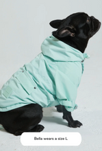 Load image into Gallery viewer, Talon Raincoat - Mint