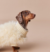Load image into Gallery viewer, Christian Cowan X Maxbone Jumper Yellow