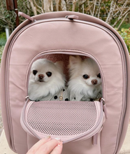 Load image into Gallery viewer, Go Everywhere Backpack Pet Carrier Dusty Mauve