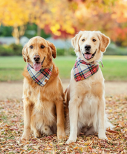 Load image into Gallery viewer, Regent Plaid Flannel Holiday Dog Bandana