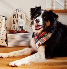 Load image into Gallery viewer, Regent Plaid Flannel Holiday Dog Bandana