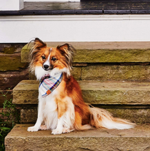 Load image into Gallery viewer, Regent Plaid Flannel Holiday Dog Bandana