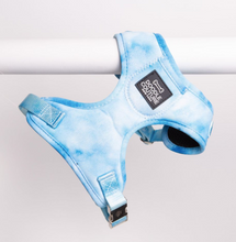 Load image into Gallery viewer, The Runway Harness - Montauk Blue
