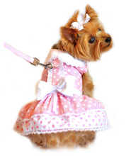 Load image into Gallery viewer, Pink Polka Dot and Lace Dog Dress Set with Leash