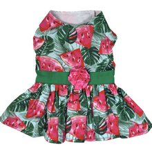 Load image into Gallery viewer, Juicy Watermelon Dog Dress with Matching Leash

