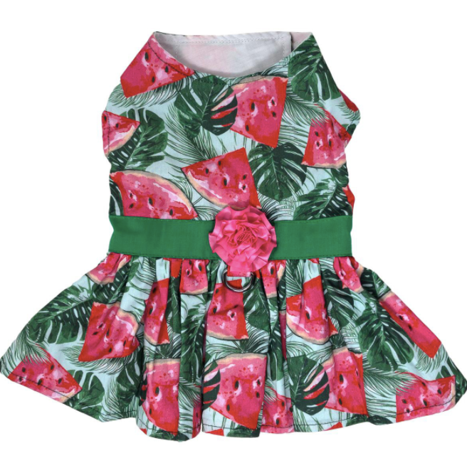 Juicy Watermelon Dog Dress with Matching Leash