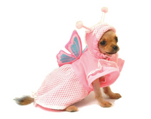 Load image into Gallery viewer, Lady Butterfly