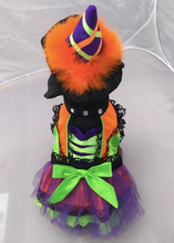 Load image into Gallery viewer, Neon Witch Costume
