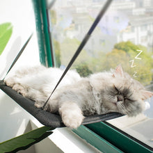 Load image into Gallery viewer, Window Hammock Pet Bed
