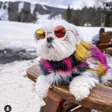 Load image into Gallery viewer, Pearl Pet Sunglasses
