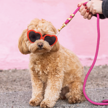 Load image into Gallery viewer, The Foggy Dog Marine Rope Leash - Hot Pink
