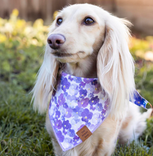 Load image into Gallery viewer, Pressed Pansies Dog Bandana - The Foggy Dog
