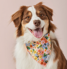 Load image into Gallery viewer, Rifle Paper Co. x TFD Marguerite Dog Bandana - The Foggy Dog
