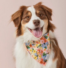 Load image into Gallery viewer, Marguerite Dog Bandana
