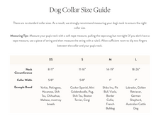 Load image into Gallery viewer, Draper James x TFD Cloud Blue Gingham Dog Collar - The Foggy Dog
