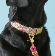 Load image into Gallery viewer, Bright Butterflies Collar - The Foggy Dog
