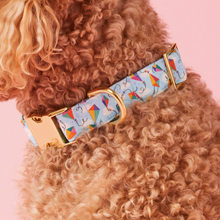 Load image into Gallery viewer, Sky&#39;s the Limit Dog Collar - The Foggy Dog
